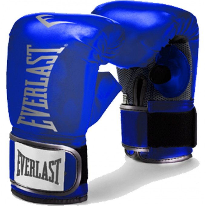 Перчатки снарядные EVERLAST MMA сине/серые P00002079 Перчатки снарядные EVERLAST MMA сине/серые P00002079