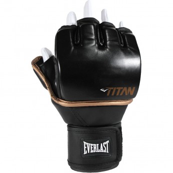 Перчатки тренировочные EVERLAST TITAN GRAPPLING LXL черные