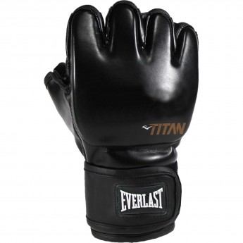 Перчатки тренировочные EVERLAST TITAN SM черные
